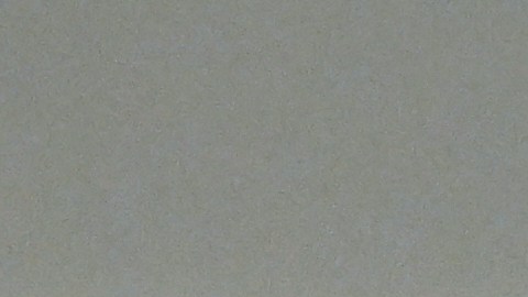 Kelly dice que todos tenemos derecho a la libertad de expresión amparado por la Primera Enmienda.