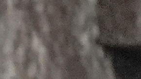 "En este momento, las amenazas a nuestra Constitución no solo provienen del extranjero", advirtió el senador Mark Kelly, exastronauta y exmiembro de la Marina, junto otros legisladores demócratas.