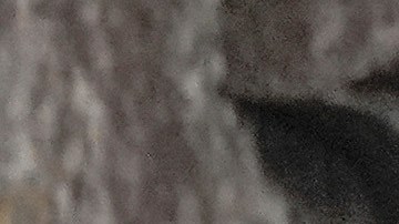 "En este momento, las amenazas a nuestra Constitución no solo provienen del extranjero", advirtió el senador Mark Kelly, exastronauta y exmiembro de la Marina, junto otros legisladores demócratas.