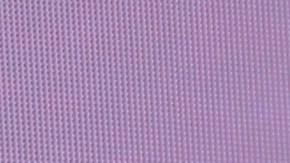 Migbelis Castellanos