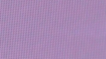 Migbelis Castellanos