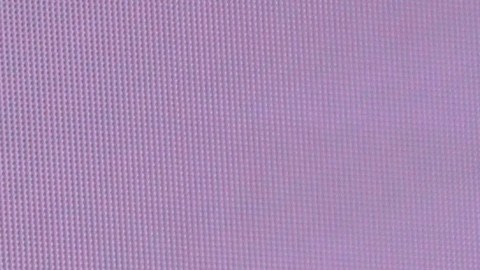 Migbelis Castellanos