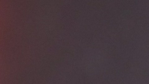 Millie Bobby Brown revela que su hija tiene un padrino de ‘Stranger Things’