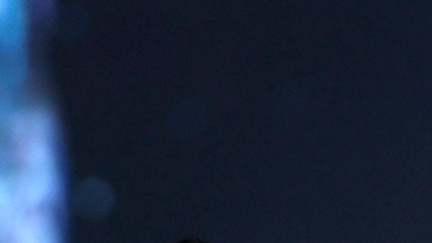 Miss Costa de Marfil