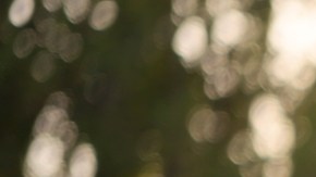 Alternativas a la terapia hormonal para la menopausia