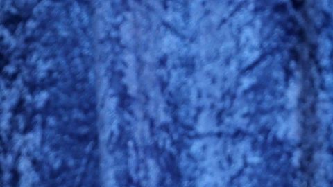 Osmel Sousa de Miss Universo