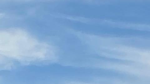 Proteta frente a la Casa Blanca, a unos pasos del Capitolio en Washington.