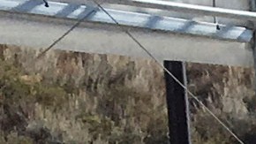 Agentes de la patrulla fronteriza utilizan un perro detector de drogas para revisar vehículos en el puesto de control de Pine Valley, California.