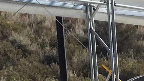 Agentes de la patrulla fronteriza utilizan un perro detector de drogas para revisar vehículos en el puesto de control de Pine Valley, California.