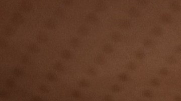 Los signos zodiacales más atractivos