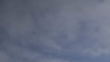 Bandera del Partido Demócrata