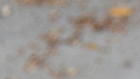 A volunteer grabs a frozen turkey for a motorist at a drive-thru turkey giveaway event held in the parking lot of Zoe Christian Fellowship of Whittier in Whittier, Calif., Saturday, Nov. 20, 2021. More than 600 turkeys, donated by Western Dental and the Southern California chapter of NFL Alumni, were distributed at the annual event. (AP Photo/Jae C. Hong)