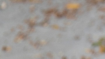 A volunteer grabs a frozen turkey for a motorist at a drive-thru turkey giveaway event held in the parking lot of Zoe Christian Fellowship of Whittier in Whittier, Calif., Saturday, Nov. 20, 2021. More than 600 turkeys, donated by Western Dental and the Southern California chapter of NFL Alumni, were distributed at the annual event. (AP Photo/Jae C. Hong)