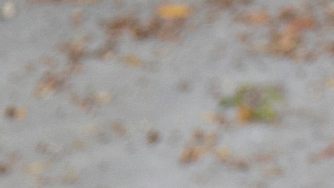 A volunteer grabs a frozen turkey for a motorist at a drive-thru turkey giveaway event held in the parking lot of Zoe Christian Fellowship of Whittier in Whittier, Calif., Saturday, Nov. 20, 2021. More than 600 turkeys, donated by Western Dental and the Southern California chapter of NFL Alumni, were distributed at the annual event. (AP Photo/Jae C. Hong)