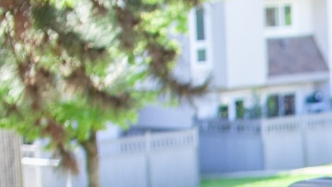 Contrario a lo creído, revelan que muchas plantas de interior pueden colaborar con el estrés