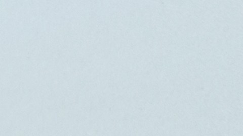 Precios de la gasolina se mantienen estables a tan solo un día de celebrar Thanksgiving, según AAA