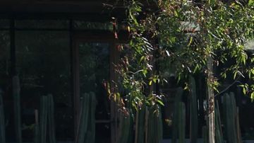 Probamos el Hyundai Palisade 2026