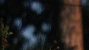 FILE - Demonstrators stage outside Dodger Stadium, June 21, 2025, in Los Angeles. (AP Photo/Damian Dovarganes, file)