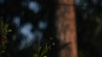 FILE - Demonstrators stage outside Dodger Stadium, June 21, 2025, in Los Angeles. (AP Photo/Damian Dovarganes, file)