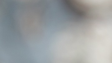 Quiénes son los beneficiarios de los pagos del Seguro Social esta semana