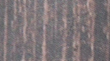 Reembolso de impuestos 2026