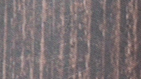 Reembolso de impuestos 2026