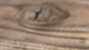 Las dos caras de la remolacha: una beneficiosa, otra contraindicada