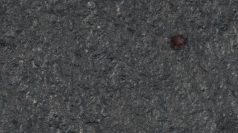 Retiran helados de barra en 31 estados por riesgo alérgico