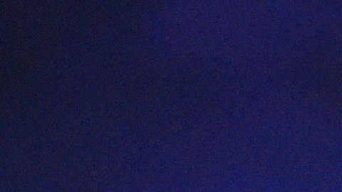 Sean ‘Diddy’ Combs organiza una cena de Acción de Gracias para mil reclusos en prisión