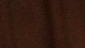 Sandra Levin, la madre de Benny Blanco, sufrió un intento de asalto en su propiedad.