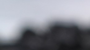 Impacto del comino negro en la lucha contra la grasa y el colesterol alto