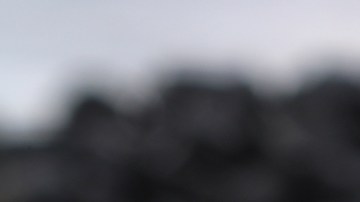 Impacto del comino negro en la lucha contra la grasa y el colesterol alto