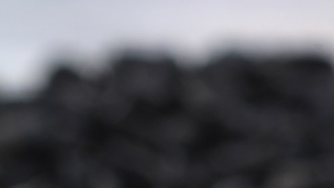 Impacto del comino negro en la lucha contra la grasa y el colesterol alto