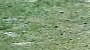 Publicación: Nov. 09 2025 Fotógrafo: Especial Lugar: PUEBLA, Puebla Formato: 1290 x 717 JPG Documento: 279.0 KB Folio: 2725209