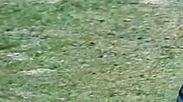 Publicación: Nov. 09 2025 Fotógrafo: Especial Lugar: PUEBLA, Puebla Formato: 1290 x 717 JPG Documento: 279.0 KB Folio: 2725209