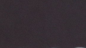 Shakira brilla junto a sus hijos en el estreno de 'Zootopia 2'