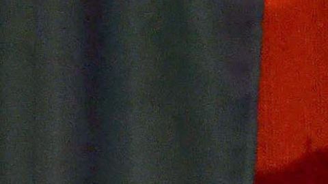 Silvia Pinal vandalismo