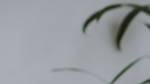 Tu sistema inmunitario puede estar envejeciendo a pasos acelerados (signos y recomendaciones)