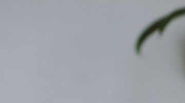 Tu sistema inmunitario puede estar envejeciendo a pasos acelerados (signos y recomendaciones)