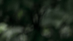 Soldado de la Primera Guerra Mundial