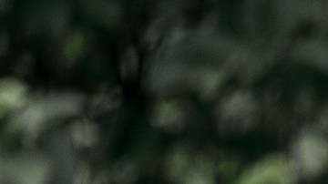 Soldado de la Primera Guerra Mundial