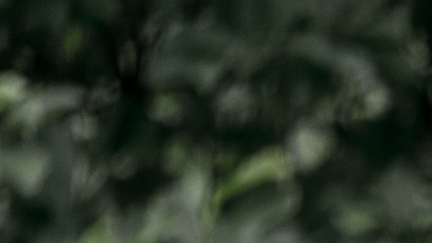 Soldado de la Primera Guerra Mundial