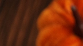 Beneficios nutricionales de la calabaza: cómo incorporarla a tu dieta