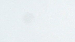 Sylvia Pasquel Silvia Pinal