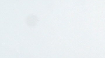 Sylvia Pasquel Silvia Pinal