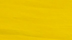 Al perder la protección del TPS, los venezolanos que no lograron renovar o acceder a otro tipo de estatus están en riesgo de ser deportados.