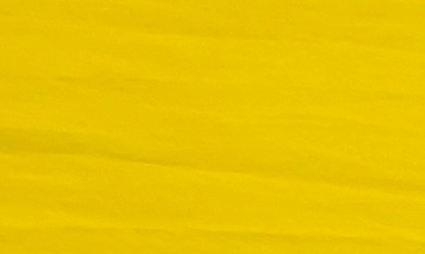 Al perder la protección del TPS, los venezolanos que no lograron renovar o acceder a otro tipo de estatus están en riesgo de ser deportados.