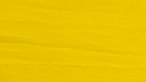 Al perder la protección del TPS, los venezolanos que no lograron renovar o acceder a otro tipo de estatus están en riesgo de ser deportados.