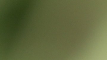 Las tasas hipotecarias en Estados Unidos siguen en picada