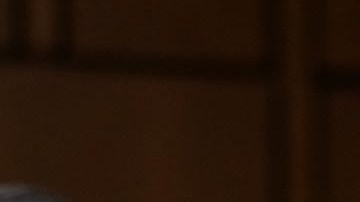 Ted Cruz, senador por Texas